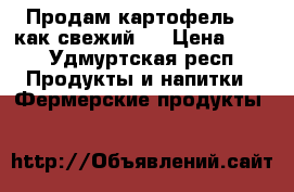 Продам картофель.,  как свежий.  › Цена ­ 10 - Удмуртская респ. Продукты и напитки » Фермерские продукты   